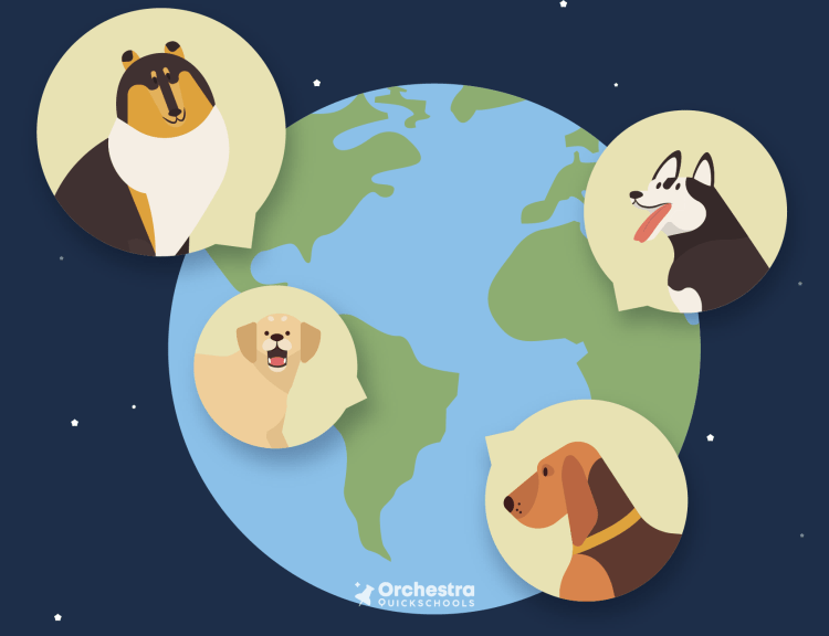 Dogs in different cultures