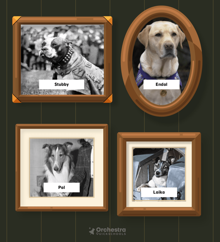 Famous dogs who made history