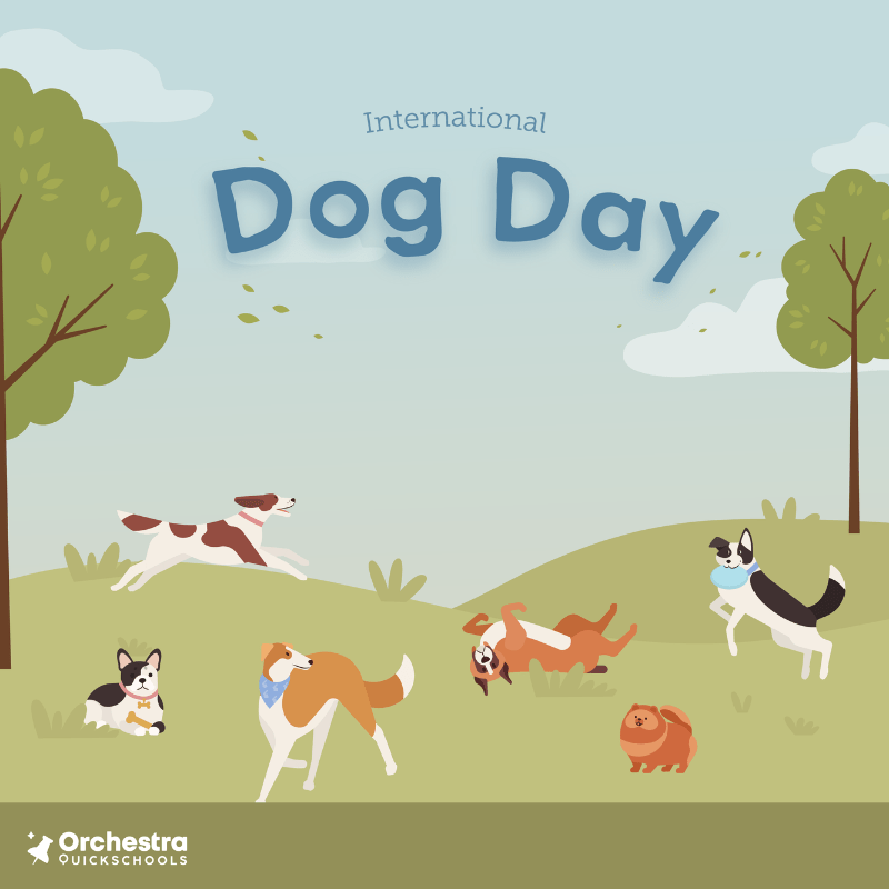 International Dog Day